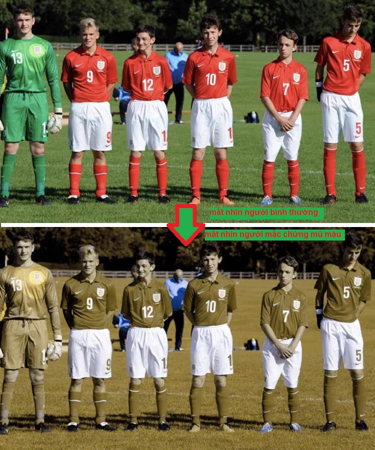 Lý do đồng phục World Cup 2026 tránh màu áo đỏ và xanh lá